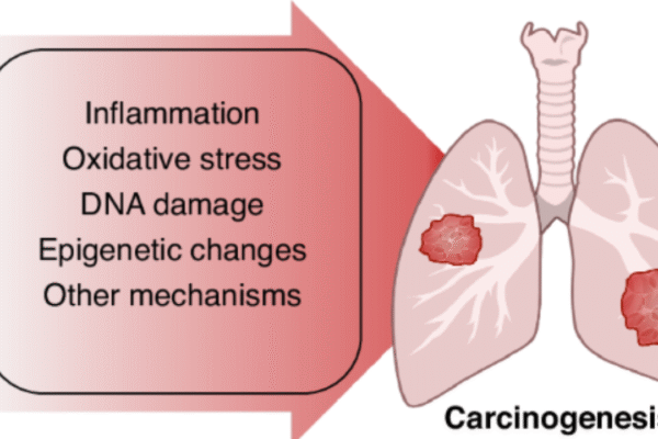 Pollution and Environmental Toxins