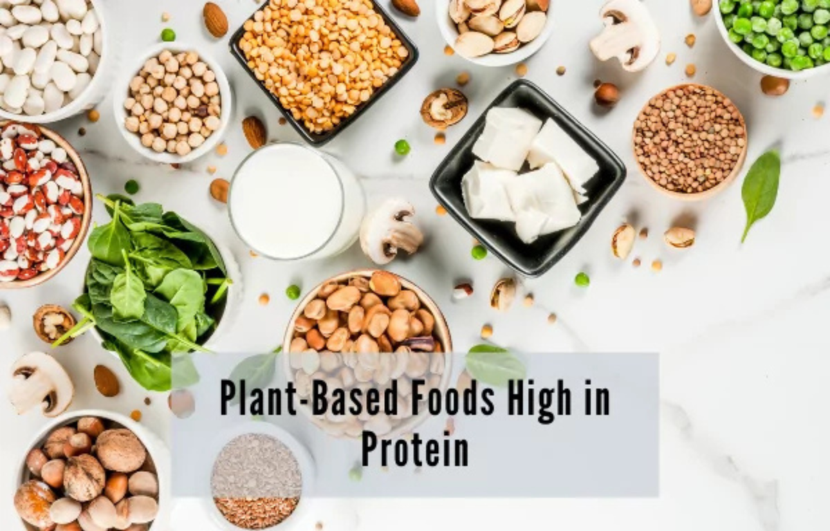 Plant-Based Protein
