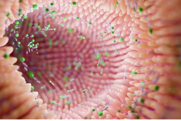 Gut Microbiota Dysbiosis