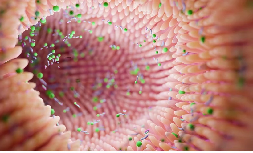 Gut Microbiota Dysbiosis