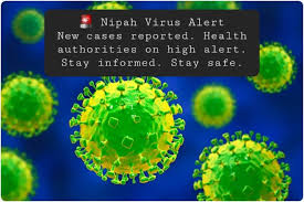 Deadly Nipah Virus